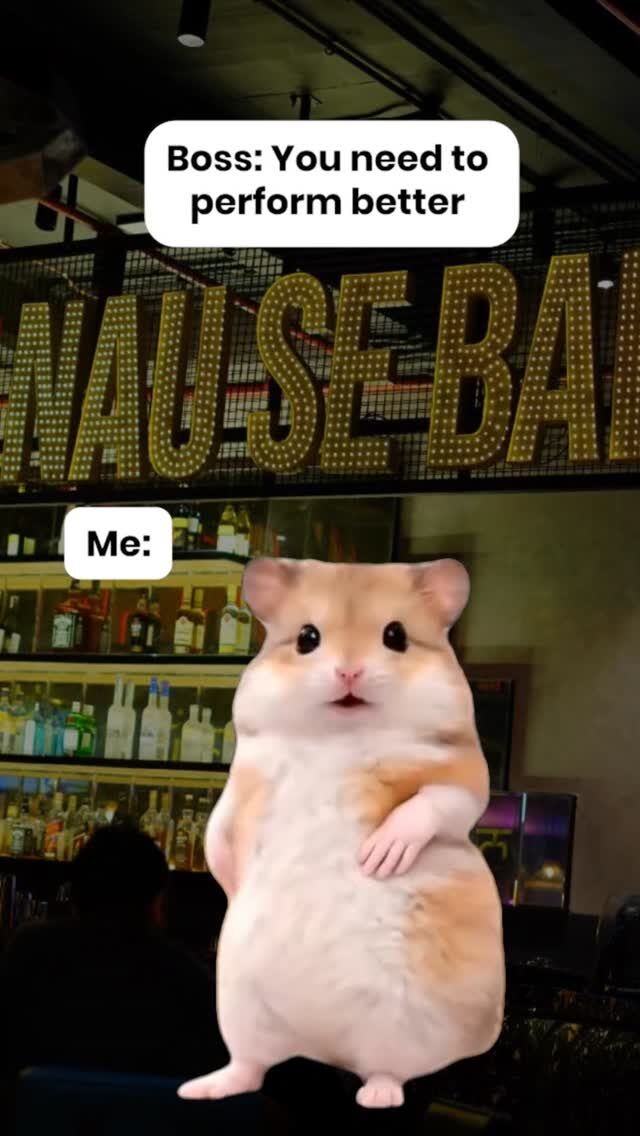 Instagram post from nausebarah. This post is in position 1.